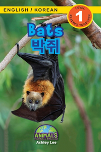 Bats / &#48149;&#51536;