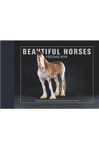 Beautiful Horses Postcard Book