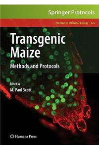 Transgenic Maize