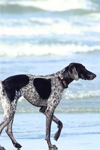 Awesome Gray and Black Spotted Dog on the Beach Pet Journal