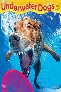 Underwater Dogs 2022 Square