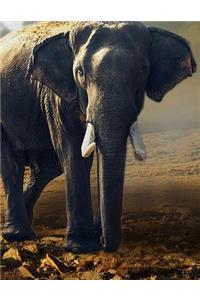 Elephant Notebook