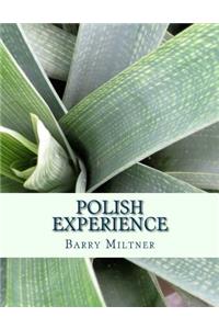Polish Experience