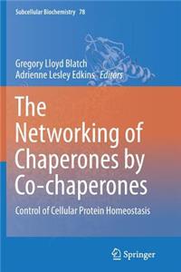 Networking of Chaperones by Co-Chaperones