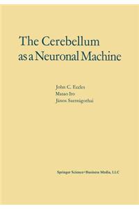 Cerebellum as a Neuronal Machine