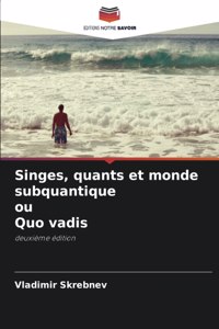 Singes, quants et monde subquantique ou Quo vadis