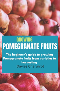 Growing Pomegranate Fruits
