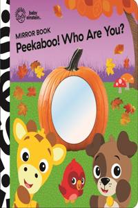 Baby Einstein Peekaboo Who Are You Mirror Book