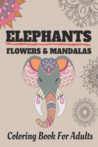 Elephants Flowers & Mandalas