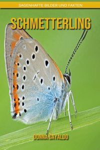 Schmetterling