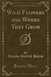 Wild Flowers and Where They Grow (Classic Reprint)