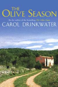 The Olive Season