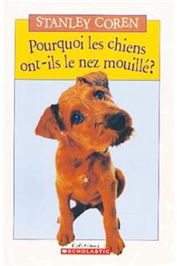 Pourquoi Les Chiens Ont-Ils Le Nez Mouill