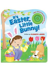It's Easter, Little Bunny!