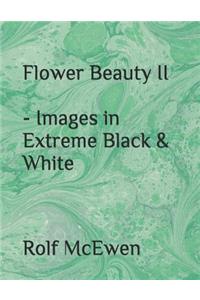 Flower Beauty II - Images in Extreme Black & White