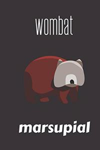 wombat marsupial