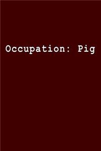Occupation