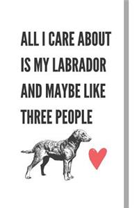 All I Care About Is My Labrador And Maybe Like Three People