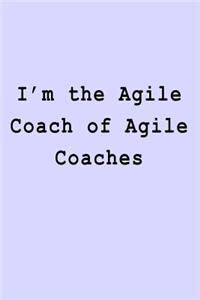 I'm the Agile Coach of Agile Coaches