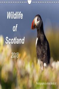 Wildlife of Scotland 2018 2018