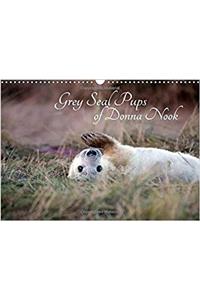 Grey Seal Pups of Donna Nook 2018