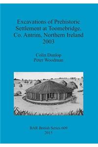 Excavations of Prehistoric Settlement at Toomebridge Co. Antrim Northern Ireland 2003