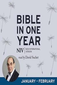 NIV AUDIO BIBLE IN 1YR JAN FEB AUDD