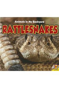 Rattlesnakes