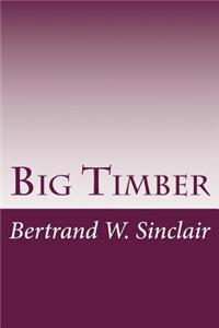 Big Timber