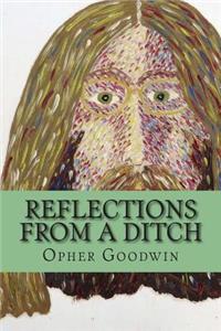 Reflections from a ditch