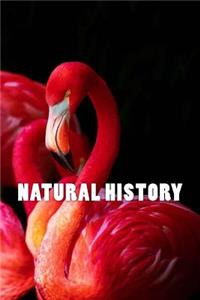 Natural History (Journal / Notebook)