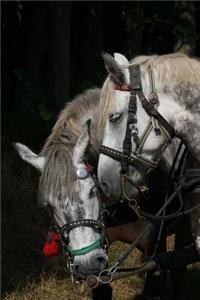 Team of Two Dapple Gray Horses Portrait Journal