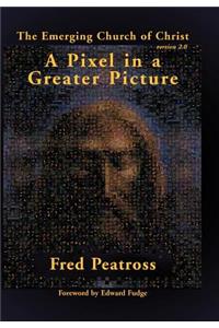 A Pixel in a Greater Picture