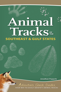 Animal Tracks of the Southeast & Gulf States