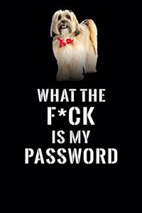 What The F*CK Is My Password, Lhassa Apso