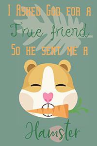 I asked god for a true friend so he sent me a hamster