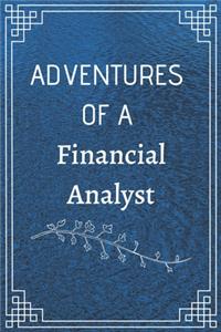 Adventure of a Financial Analyst