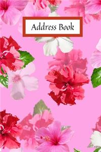 Address Book