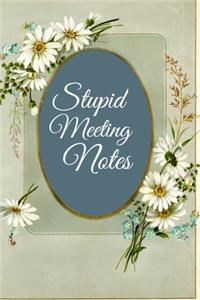 Stupid Meeting Notes