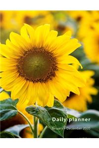 Daily Planner January-December 2020