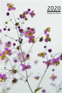 A5 2020 Diary Week To View Paperback Cover With Alternative Design -