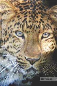 Leopard Notebook