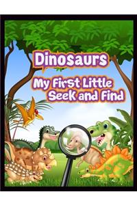 Dinosaurs My First Little Seek and Find
