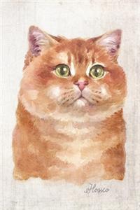 Hosico Cat Portrait Notebook