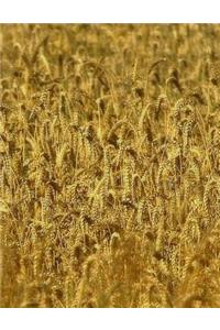 Cornfield Notebook Large Size 8.5 x 11 Ruled 150 Pages Softcover