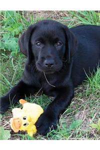 Black Labrador Puppy Notebook