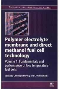 Polymer Electrolyte Membrane and Direct Methanol Fuel Cell Technology