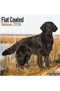 Flat Coated Retriever Calendar 2018 (Square)