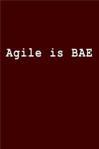 Agile Is Bae