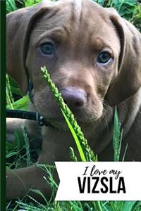 I Love My Vizsla